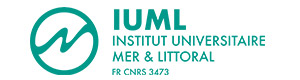 logo iulm