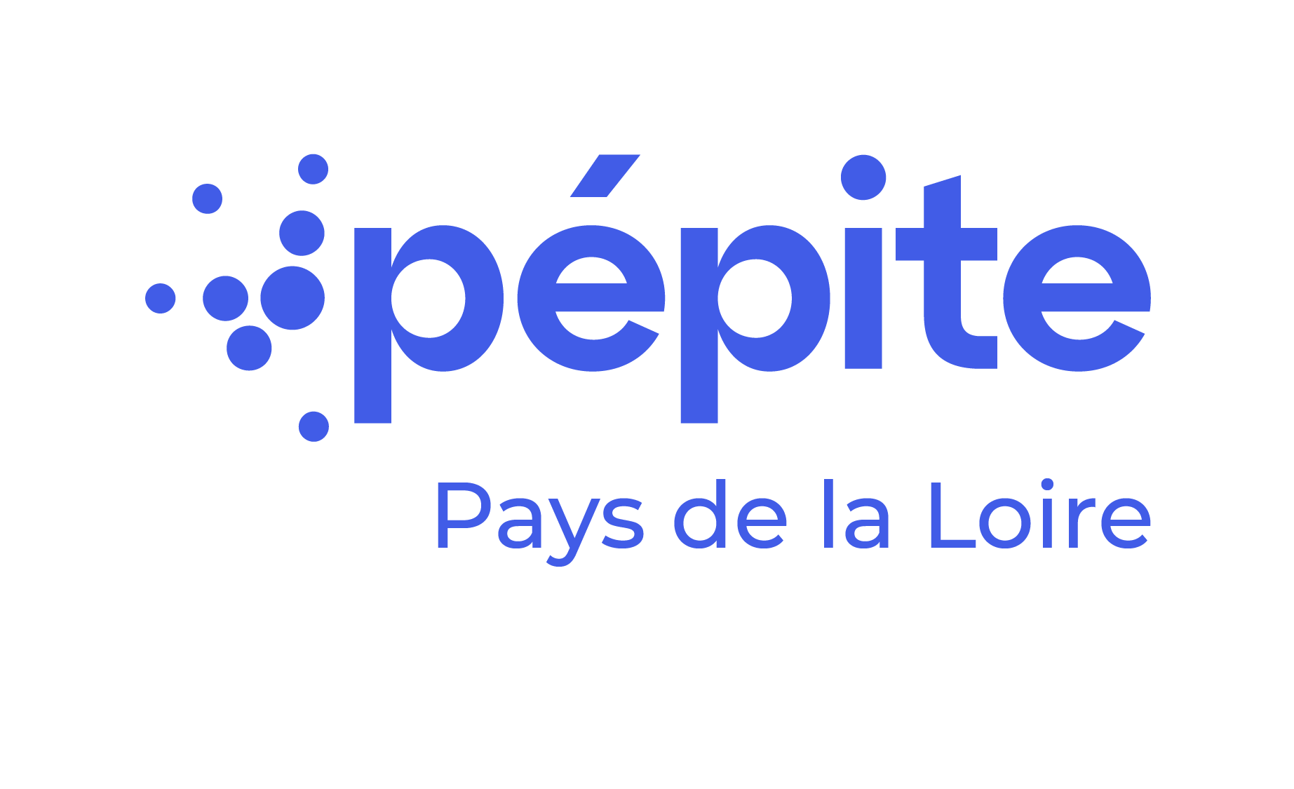 logo pepite pays de la loire bleu