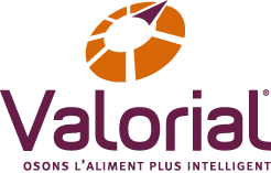 logo valorial